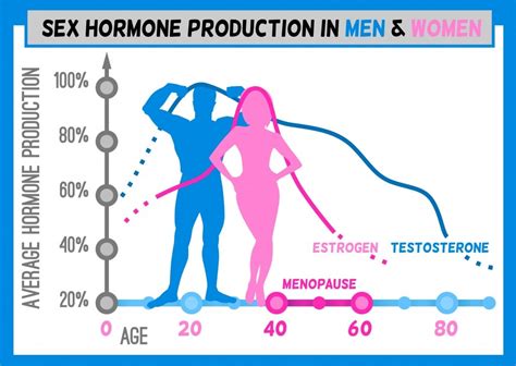 テストステロン 女性：ホルモンとジェンダーの境界を超える議論