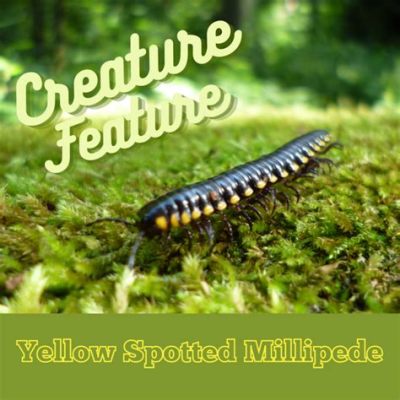  Yellow-Tailed Millipede: Eine faszinierende Kreatur mit leuchtend gelbem Schwanz und einem unaufhaltsamen Appetit!